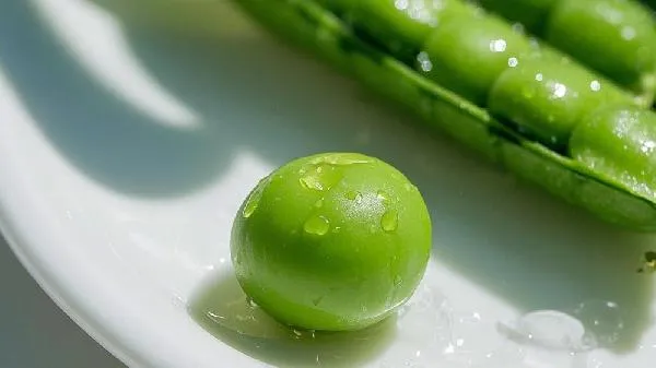 青豆是不是豌豆种子