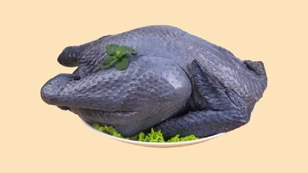 乌鸡为什么是黑色的