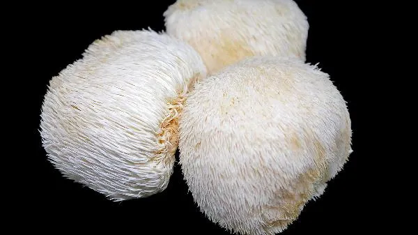 蔬菜如何去除农药残留的方法
