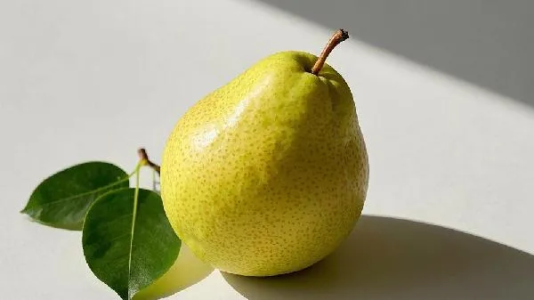 香梨是中糖还是高糖
