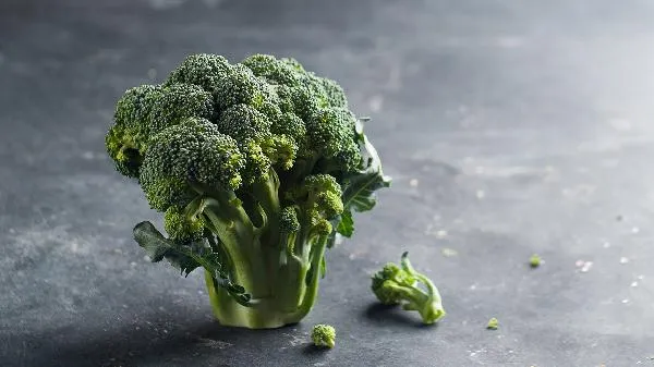 高碳水化合物的食物有哪些危害