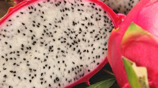 火龙果红心和白心区别