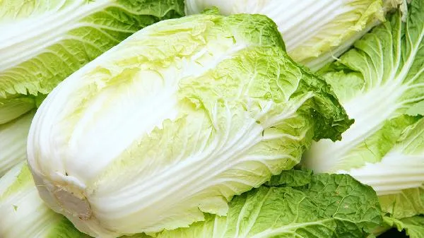 白菜泡椒的腌制方法