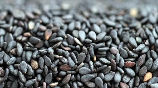 什么食物含热量低