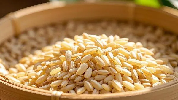 为什么吃糙米反而胖了呢