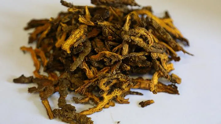 黄连素片的功效与作用