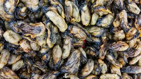 牡蛎粉有什么功效