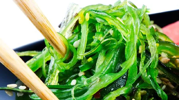 龙须菜为什么不能放醋