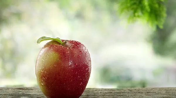 什么东西属于高脂肪的食物