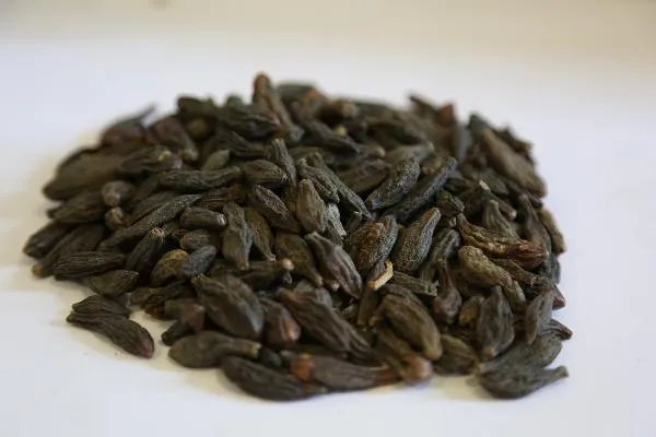 藜芦是什么东西中药