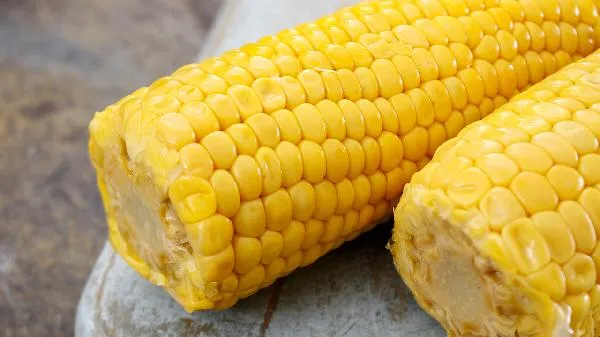 糯玉米一般煮多少分钟