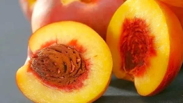 高糖高脂肪食物有哪些