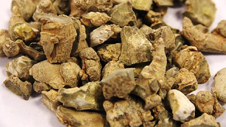 白背三七叶正确的吃法