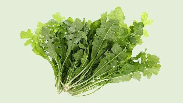 二月份有哪些野菜可以吃