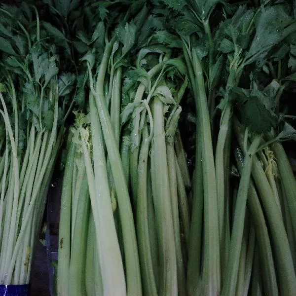 一般饭菜放多久算剩饭