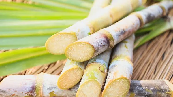 吃哪些食物对肺有好处