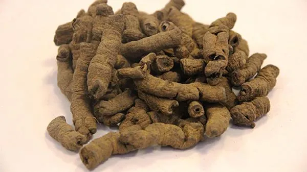 巴戟天吃了就变硬吗