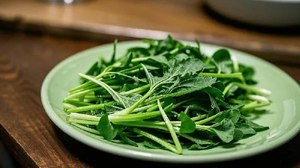 二月份有哪些野菜可以吃