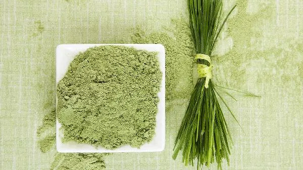 高脂肪高蛋白的食物有哪些