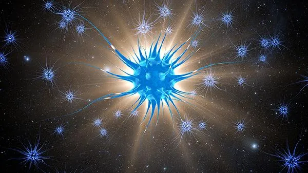 菜花状肿瘤还能活几年