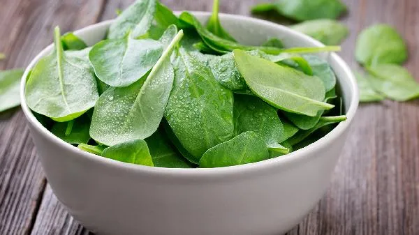 空心菜割几茬后不能吃