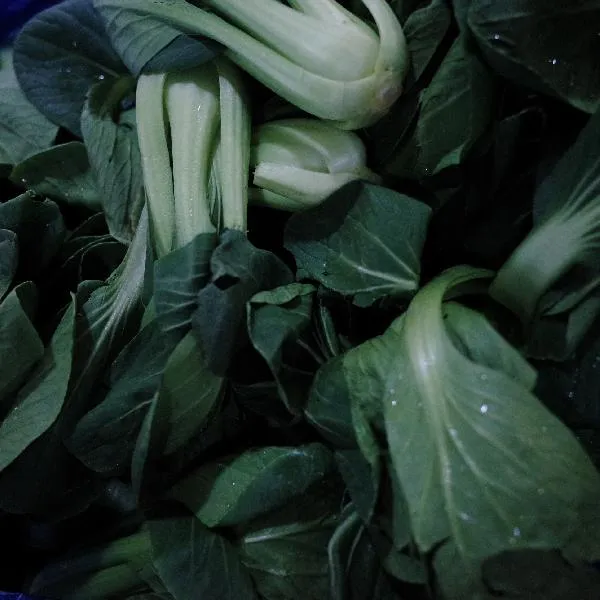 青菜炒豆腐先炒哪个