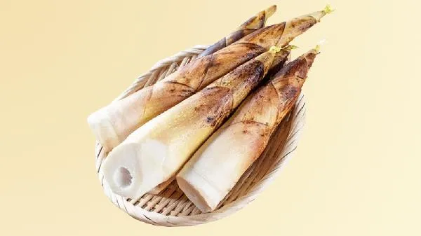 冬笋与春笋哪个更好吃