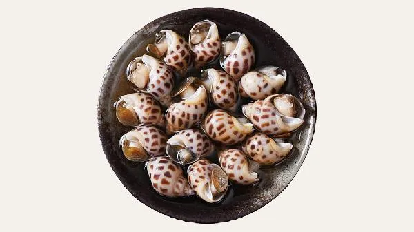 花螺是凉性还是热性