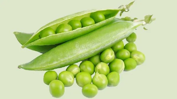 青豆和黄豆的区别