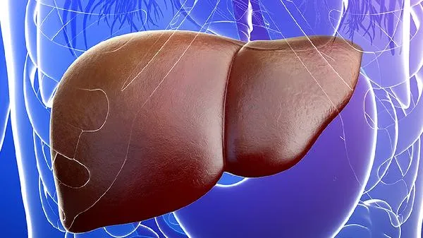 特别想吃肝是身体缺什么了