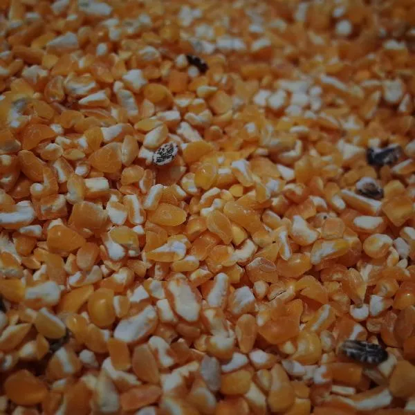 粗粮饼干吃了会胖吗