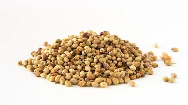 豆蔻白豆蔻有什么区别
