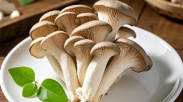 蘑菇晒干的正确方法
