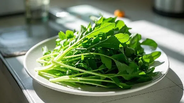 野菜都有哪些品种
