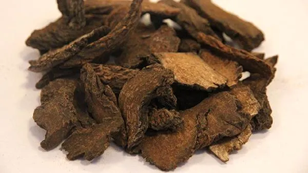 肉苁蓉的正确吃法