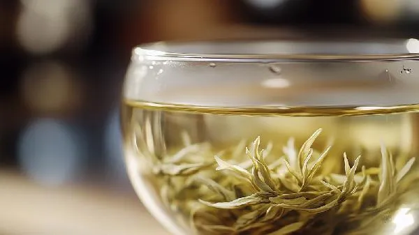 茶滤网破了怎么办