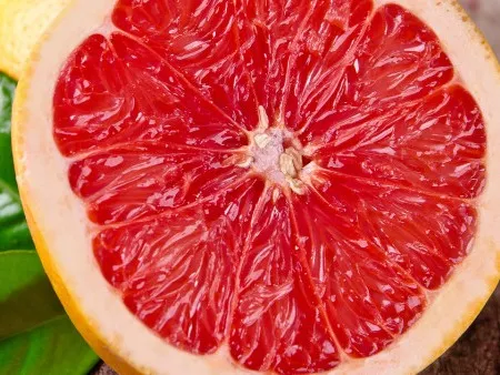 食疗养颜，这种中秋“福果”你吃到了吗？
