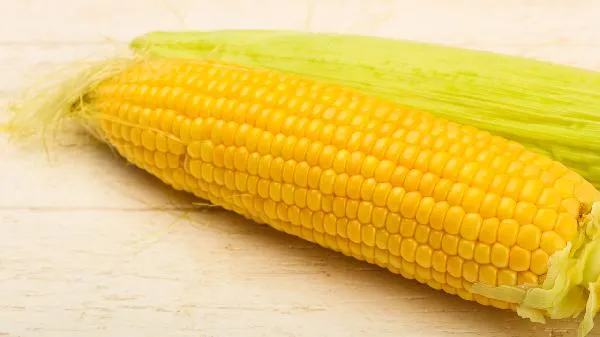甜玉米要蒸多久才熟透 甜玉米可以生吃吗