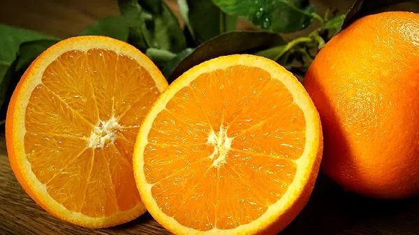 脐橙哪个地方的最好吃