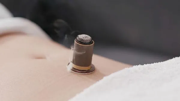 鸽子肠道调理用什么药