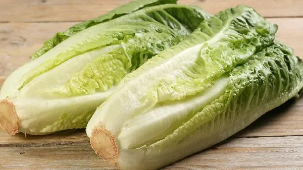 春菜与生菜如何区别