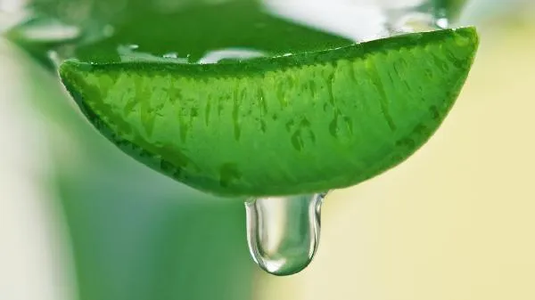配料表中植物油是什么油啊