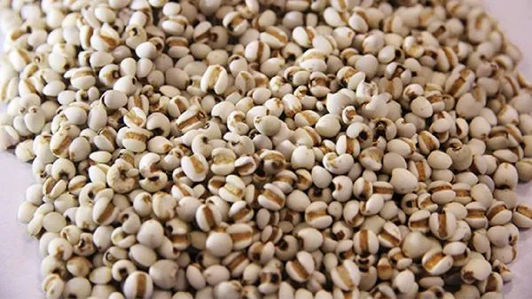 薏米和红豆能去湿气吗