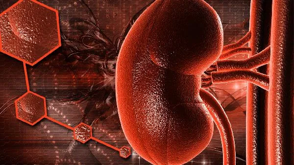 什么人吃肾宝片对身体有帮助