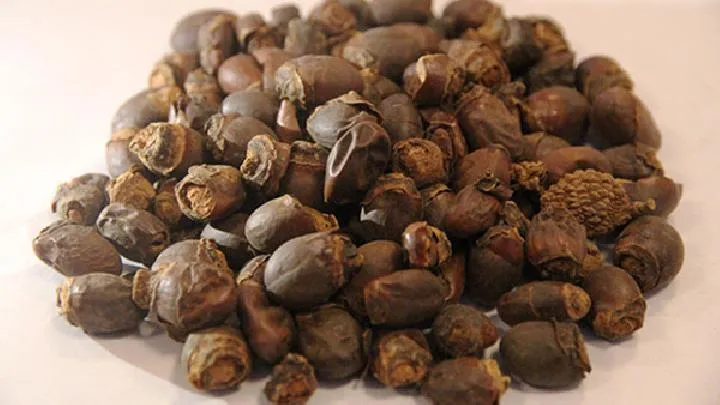 荔枝核可以泡茶喝 养生效果很不错