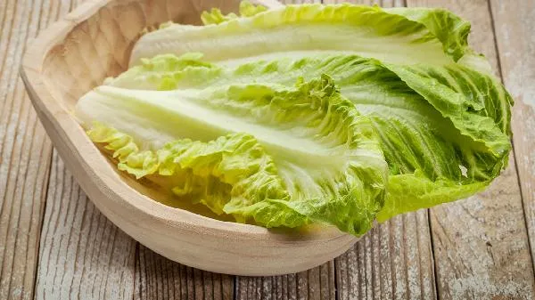 生菜和莴苣是一种菜吗