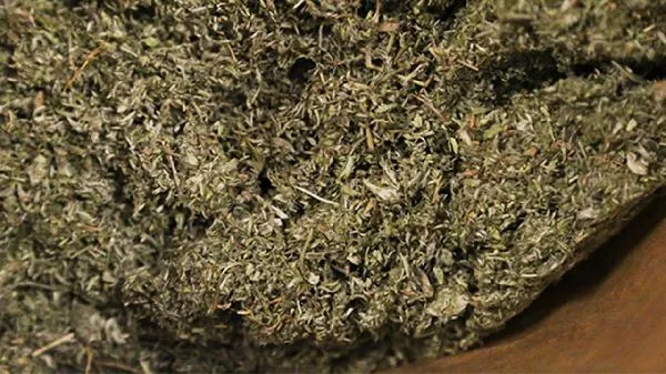 中药材瓜蒌的功效