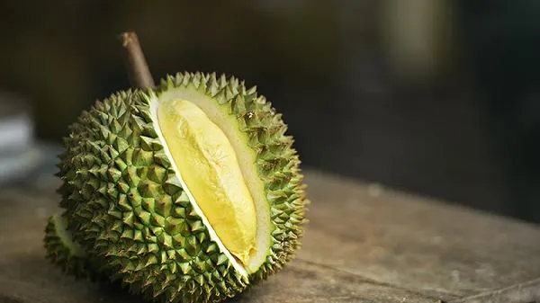 高纤维食物有哪些