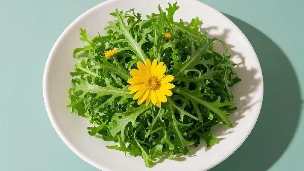 立秋后的苦苦菜能吃不