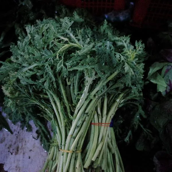松月楼素菜包价格